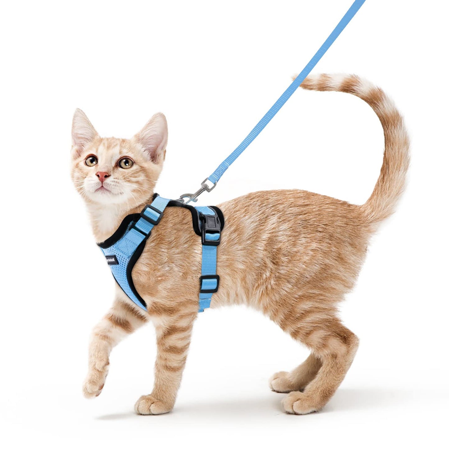 rabbitgoo Cat Harness and Leash for Walking, Escape Proof Soft Adjustable Vest Harnesses for Cats, Easy Control Breathable Reflective Strips Jacket, Navy Blue, XS