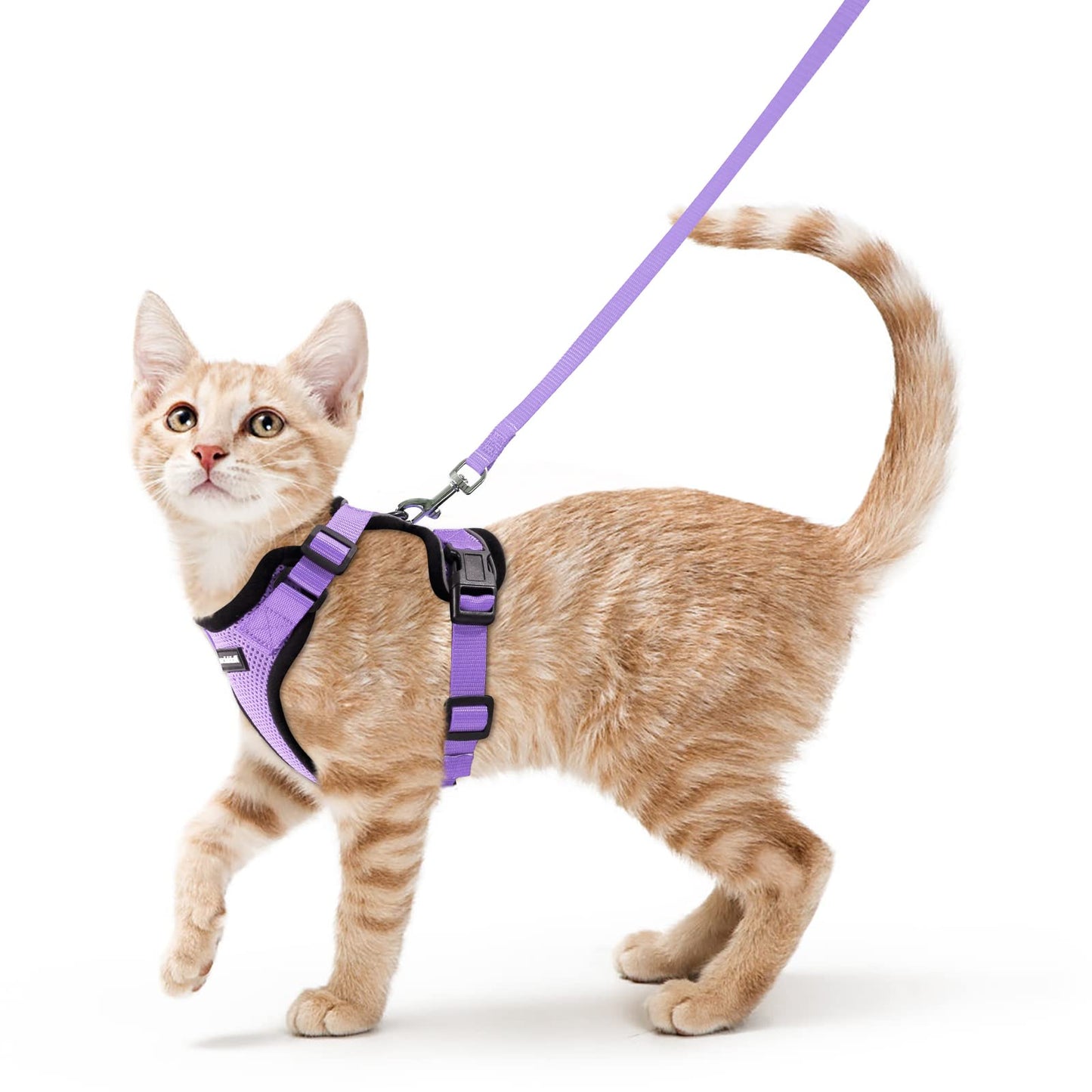 rabbitgoo Cat Harness and Leash for Walking, Escape Proof Soft Adjustable Vest Harnesses for Cats, Easy Control Breathable Reflective Strips Jacket, Navy Blue, XS