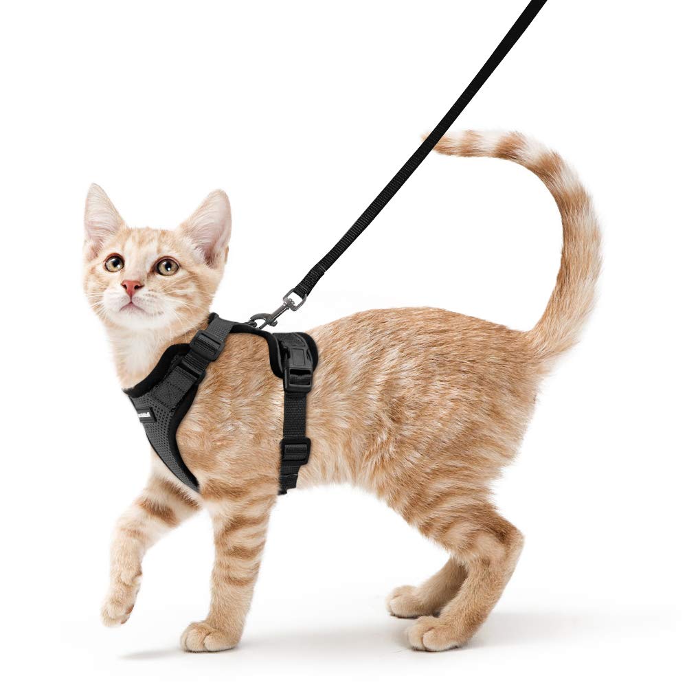 rabbitgoo Cat Harness and Leash for Walking, Escape Proof Soft Adjustable Vest Harnesses for Cats, Easy Control Breathable Reflective Strips Jacket, Navy Blue, XS