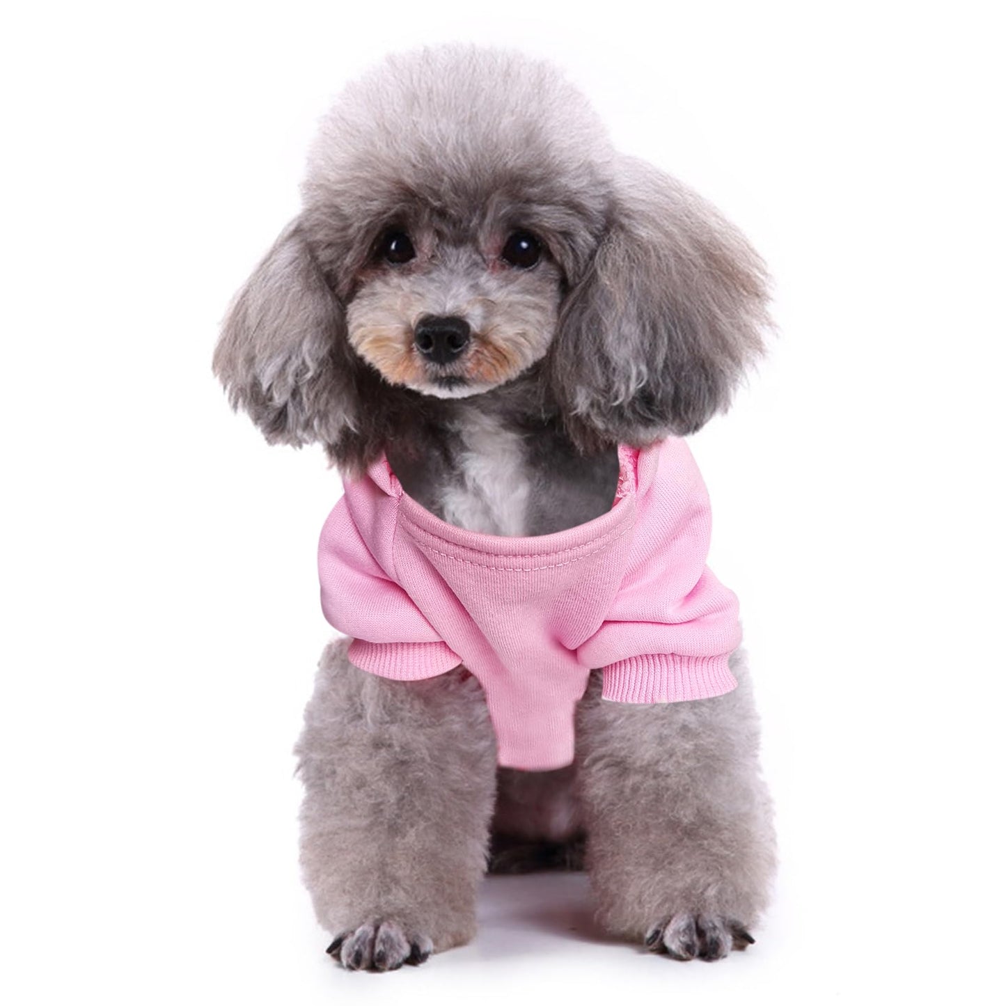 Jecikelon Winter Dog Hoodie Sweatshirts with Pockets Warm Dog Clothes for Small Dogs Chihuahua Coat Clothing Puppy Cat Custume (Medium, Pink)