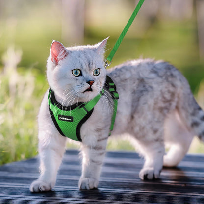 rabbitgoo Cat Harness and Leash for Walking, Escape Proof Soft Adjustable Vest Harnesses for Cats, Easy Control Breathable Reflective Strips Jacket, Navy Blue, XS