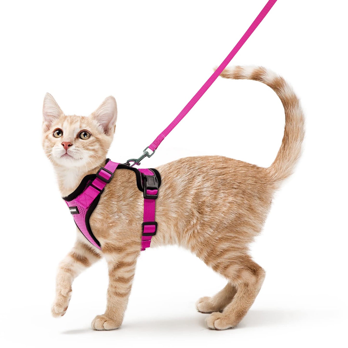 rabbitgoo Cat Harness and Leash for Walking, Escape Proof Soft Adjustable Vest Harnesses for Cats, Easy Control Breathable Reflective Strips Jacket, Navy Blue, XS