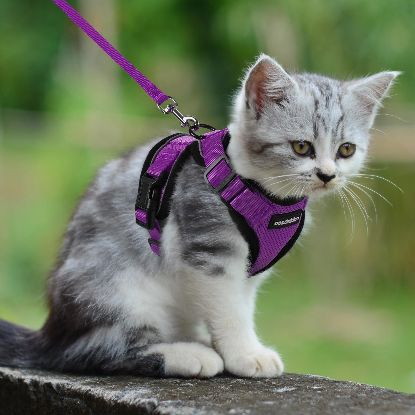 rabbitgoo Cat Harness and Leash for Walking, Escape Proof Soft Adjustable Vest Harnesses for Cats, Easy Control Breathable Reflective Strips Jacket, Navy Blue, XS