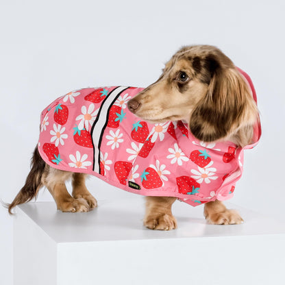 Fitwarm Strawberry Daisy Dog Raincoat with Hood, Waterproof Rain Jacket for Small Dogs Girl, Reflective Pet Poncho with Harness Opening, Packable, Adjustable, Pink, XS