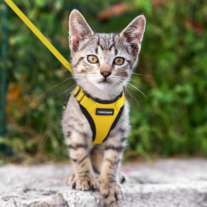 rabbitgoo Cat Harness and Leash for Walking, Escape Proof Soft Adjustable Vest Harnesses for Cats, Easy Control Breathable Reflective Strips Jacket, Navy Blue, XS