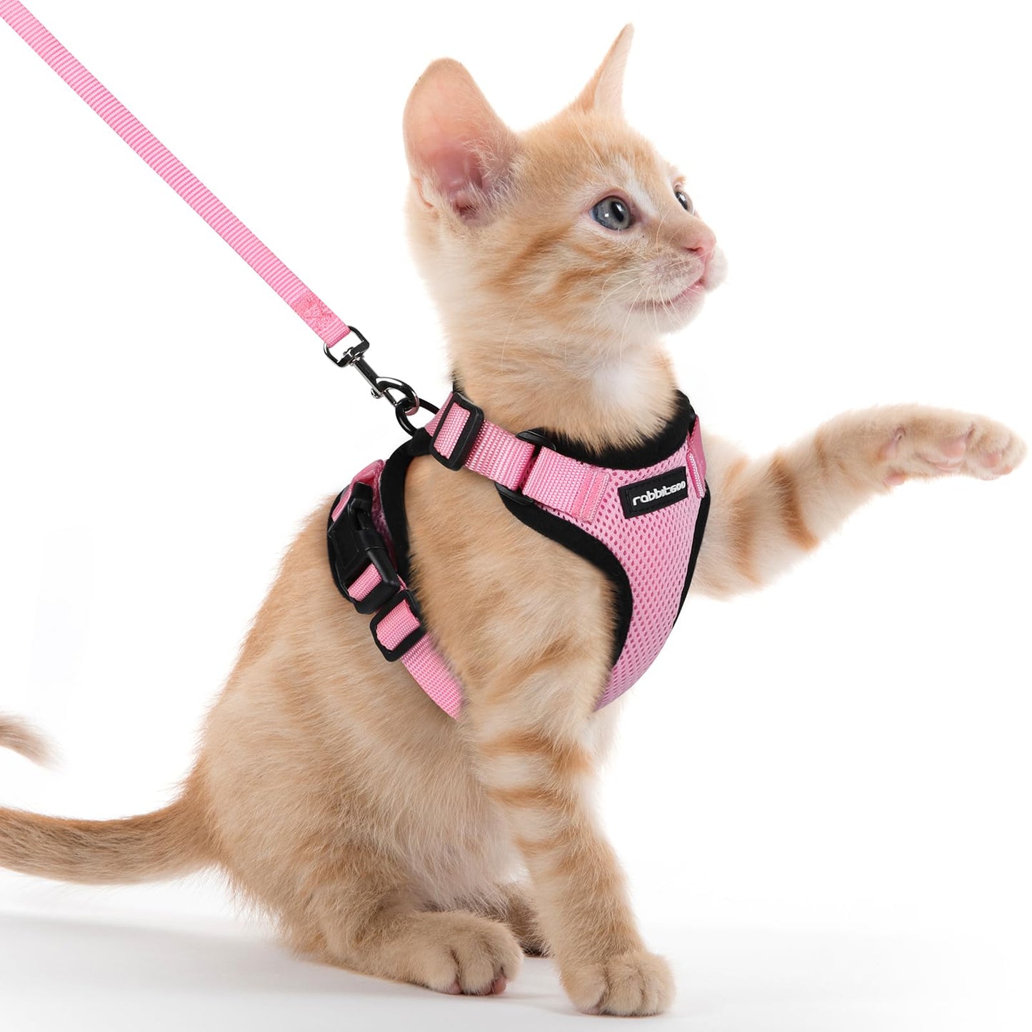 rabbitgoo Cat Harness and Leash for Walking, Escape Proof Soft Adjustable Vest Harnesses for Cats, Easy Control Breathable Reflective Strips Jacket, Navy Blue, XS