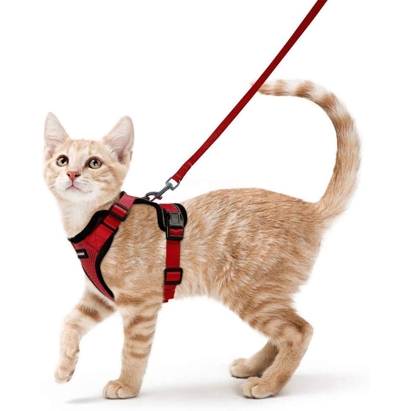 rabbitgoo Cat Harness and Leash for Walking, Escape Proof Soft Adjustable Vest Harnesses for Cats, Easy Control Breathable Reflective Strips Jacket, Navy Blue, XS