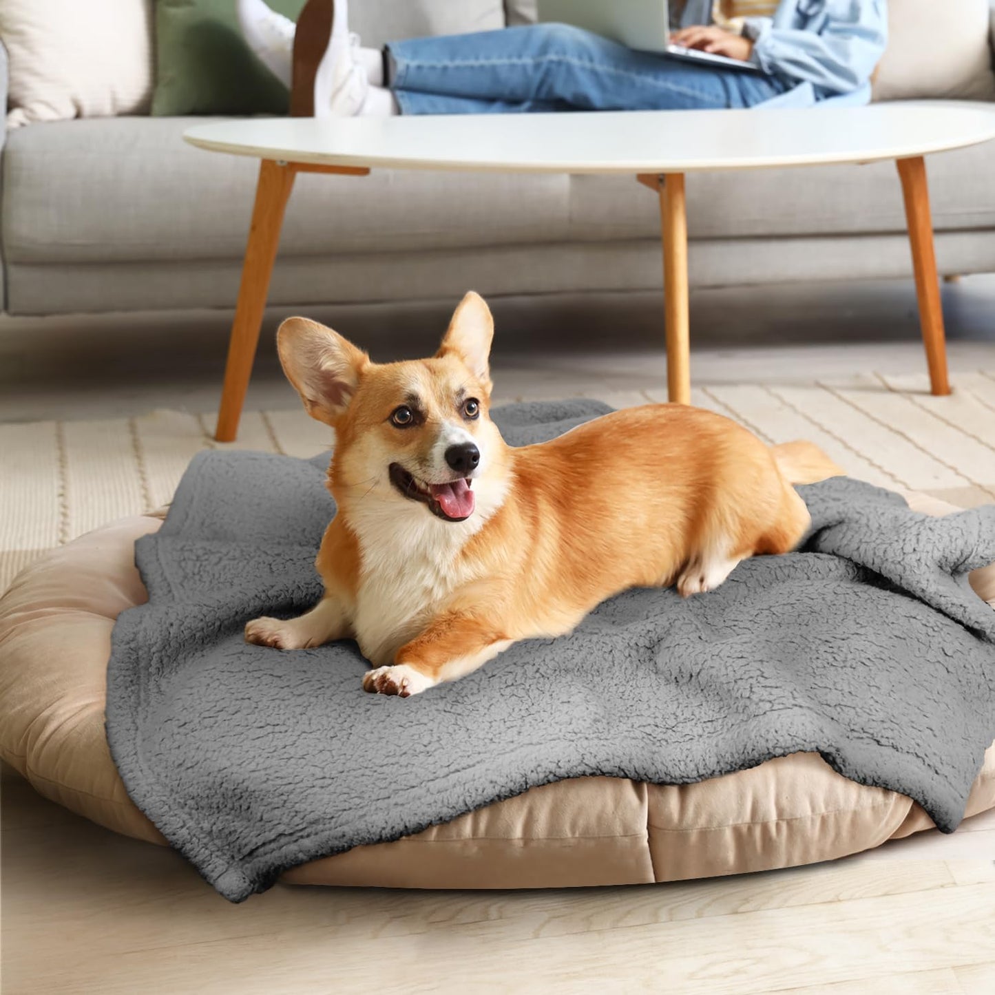 furrybaby Dog Blanket Soft Dog Blankets for Large Dogs Puppy Essentials Washable Fluffy Sherpa Fleece Cat Blanket 32x40 Inches for Bed Furniture Couch Sofa (Double-Layer Medium, Beige)