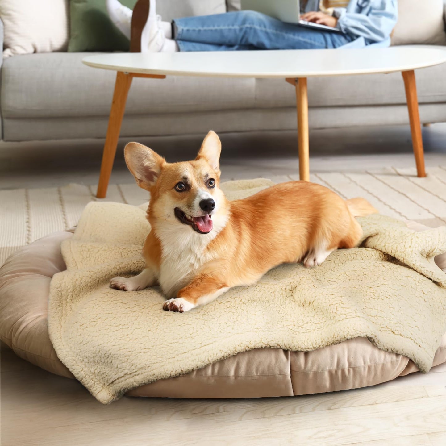 furrybaby Dog Blanket Soft Dog Blankets for Large Dogs Puppy Essentials Washable Fluffy Sherpa Fleece Cat Blanket 32x40 Inches for Bed Furniture Couch Sofa (Double-Layer Medium, Beige)