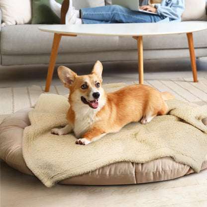 furrybaby Dog Blanket Soft Dog Blankets for Large Dogs Puppy Essentials Washable Fluffy Sherpa Fleece Cat Blanket 32x40 Inches for Bed Furniture Couch Sofa (Double-Layer Medium, Beige)