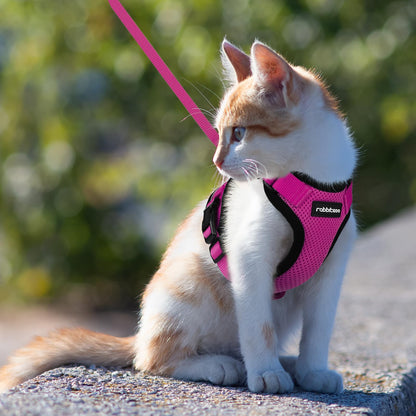 rabbitgoo Cat Harness and Leash for Walking, Escape Proof Soft Adjustable Vest Harnesses for Cats, Easy Control Breathable Reflective Strips Jacket, Navy Blue, XS