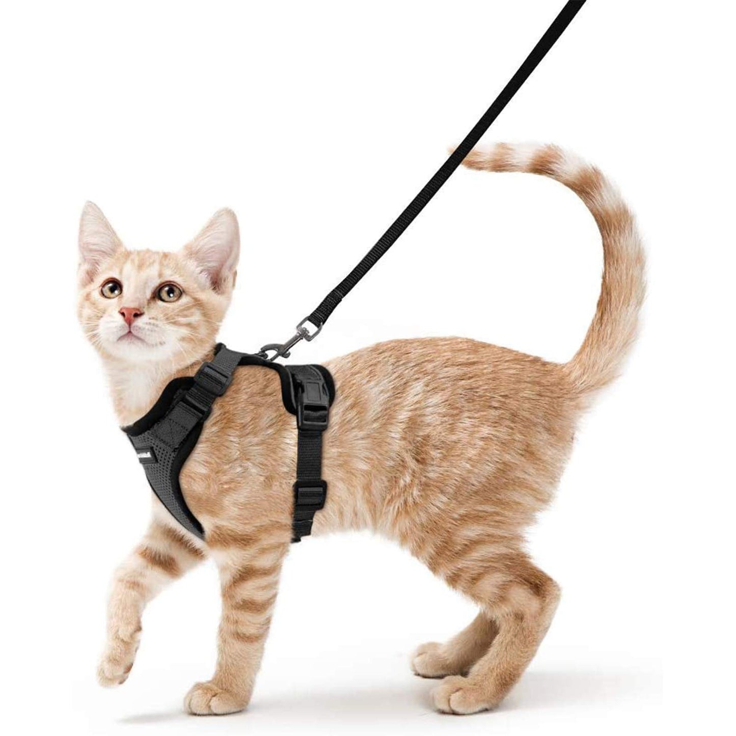 rabbitgoo Cat Harness and Leash for Walking, Escape Proof Soft Adjustable Vest Harnesses for Cats, Easy Control Breathable Reflective Strips Jacket, Navy Blue, XS