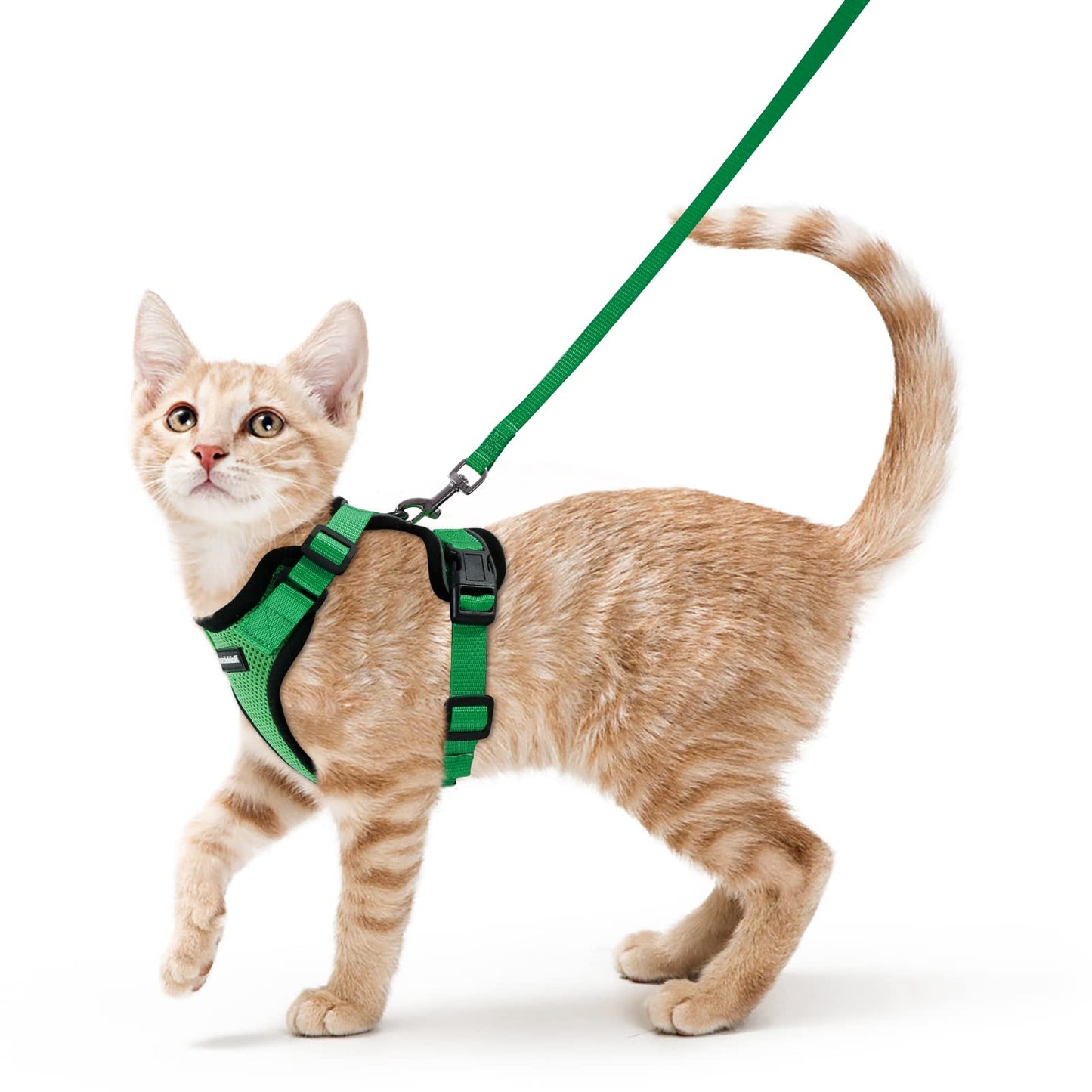 rabbitgoo Cat Harness and Leash for Walking, Escape Proof Soft Adjustable Vest Harnesses for Cats, Easy Control Breathable Reflective Strips Jacket, Navy Blue, XS