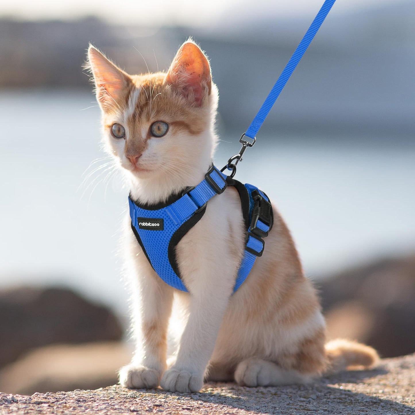 rabbitgoo Cat Harness and Leash for Walking, Escape Proof Soft Adjustable Vest Harnesses for Cats, Easy Control Breathable Reflective Strips Jacket, Navy Blue, XS