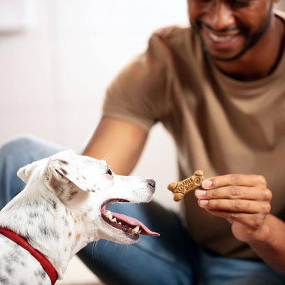 Milk-Bone Mini's Flavor Snacks Dog Treats, 36 Ounce Crunchy Texture Helps Reduce Tartar