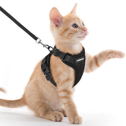 rabbitgoo Cat Harness and Leash for Walking, Escape Proof Soft Adjustable Vest Harnesses for Cats, Easy Control Breathable Reflective Strips Jacket, Navy Blue, XS