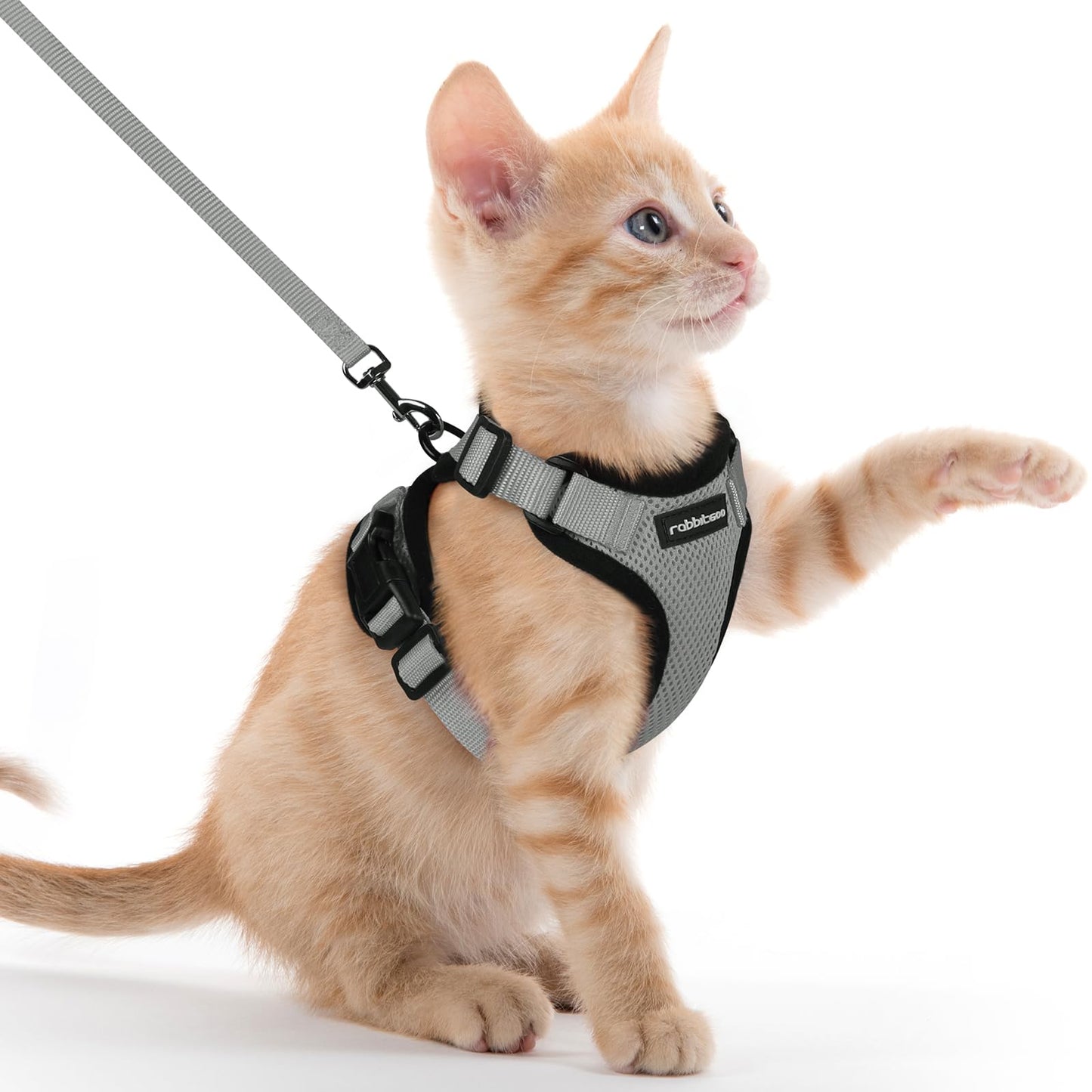 rabbitgoo Cat Harness and Leash for Walking, Escape Proof Soft Adjustable Vest Harnesses for Cats, Easy Control Breathable Reflective Strips Jacket, Navy Blue, XS