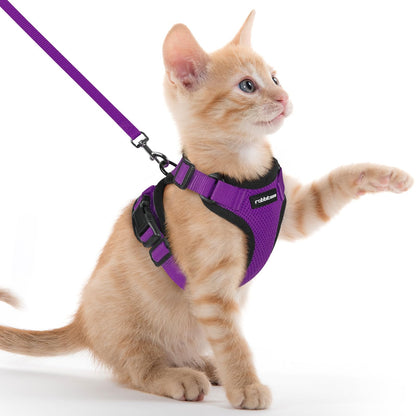 rabbitgoo Cat Harness and Leash for Walking, Escape Proof Soft Adjustable Vest Harnesses for Cats, Easy Control Breathable Reflective Strips Jacket, Navy Blue, XS