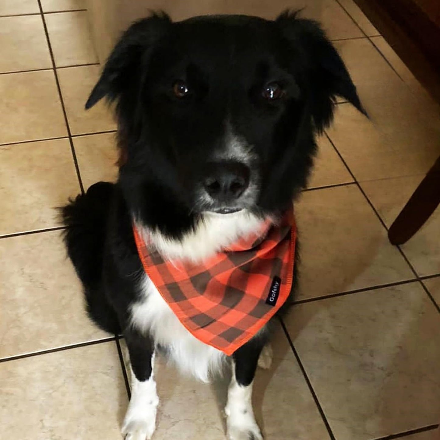 Boy Dog Bandana Small-Blue Black Dog Scarf Buffalo Plaid Printing Adjustable Bib Handkerchief Accessories for Small Dogs Cats (S)