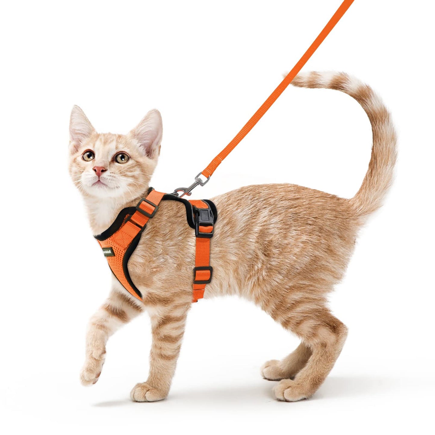 rabbitgoo Cat Harness and Leash for Walking, Escape Proof Soft Adjustable Vest Harnesses for Cats, Easy Control Breathable Reflective Strips Jacket, Navy Blue, XS