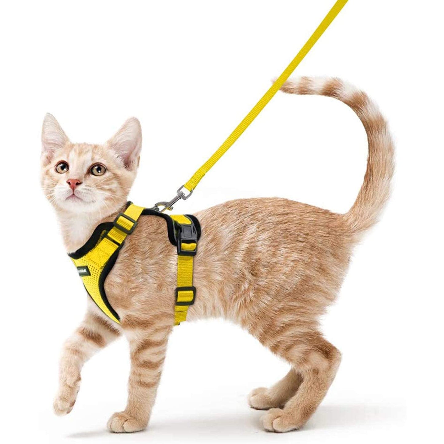 rabbitgoo Cat Harness and Leash for Walking, Escape Proof Soft Adjustable Vest Harnesses for Cats, Easy Control Breathable Reflective Strips Jacket, Navy Blue, XS