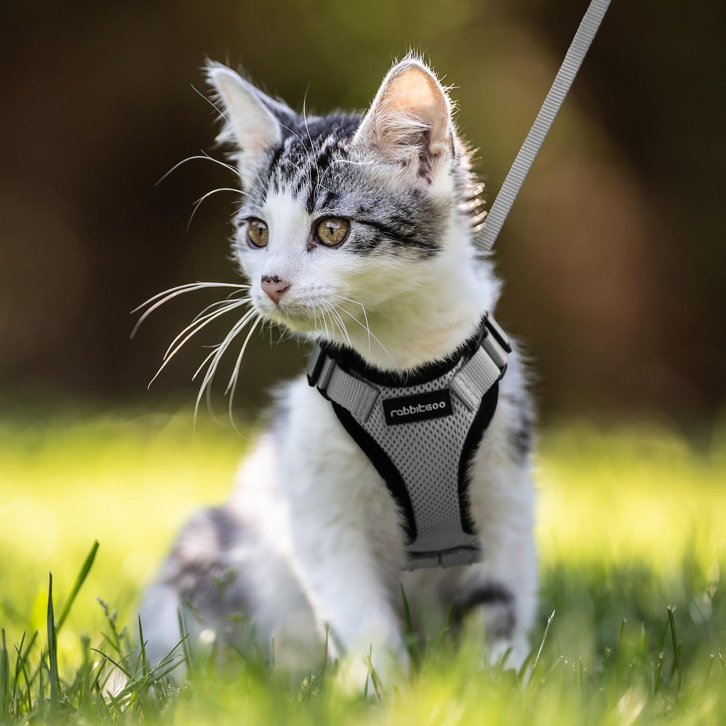 rabbitgoo Cat Harness and Leash for Walking, Escape Proof Soft Adjustable Vest Harnesses for Cats, Easy Control Breathable Reflective Strips Jacket, Navy Blue, XS