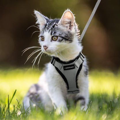 rabbitgoo Cat Harness and Leash for Walking, Escape Proof Soft Adjustable Vest Harnesses for Cats, Easy Control Breathable Reflective Strips Jacket, Navy Blue, XS