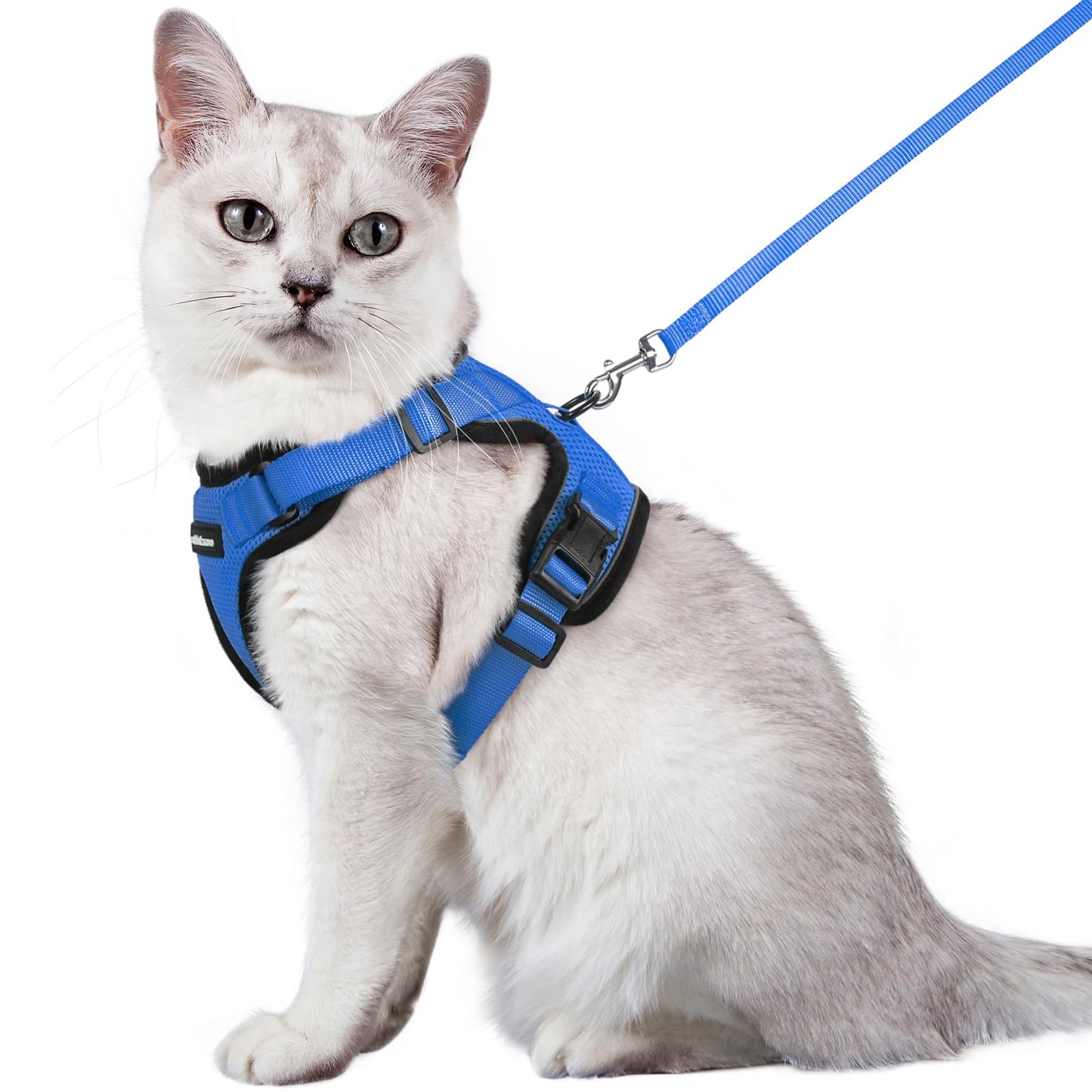 rabbitgoo Cat Harness and Leash for Walking, Escape Proof Soft Adjustable Vest Harnesses for Cats, Easy Control Breathable Reflective Strips Jacket, Navy Blue, XS