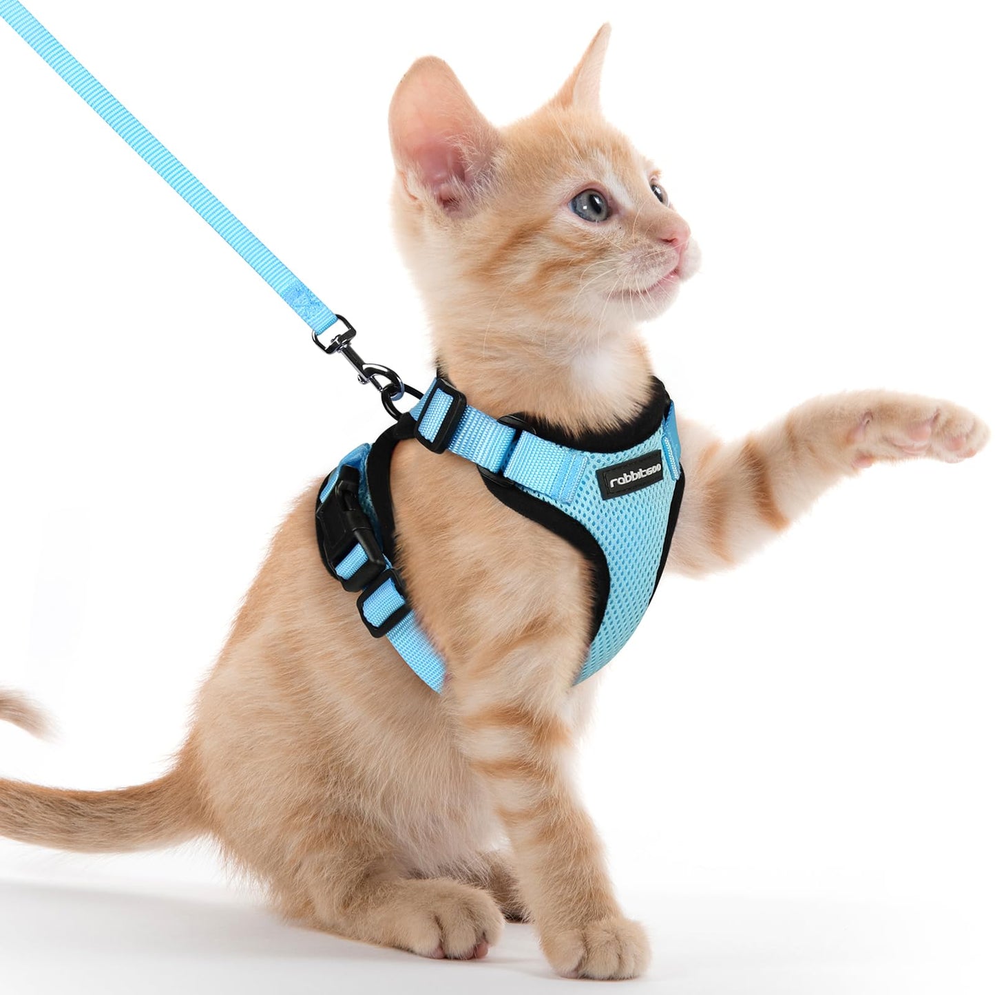 rabbitgoo Cat Harness and Leash for Walking, Escape Proof Soft Adjustable Vest Harnesses for Cats, Easy Control Breathable Reflective Strips Jacket, Navy Blue, XS