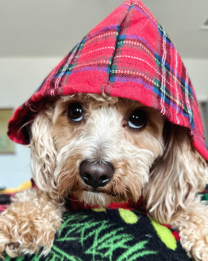 Fitwarm Tartan Plaid Dog Hoodie, Dog Clothes for Small Dogs Girl Boy, Pet Sweatshirt with Hood, Cat Winter Outfit, Red, Green, XXL