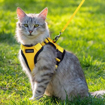 rabbitgoo Cat Harness and Leash for Walking, Escape Proof Soft Adjustable Vest Harnesses for Cats, Easy Control Breathable Reflective Strips Jacket, Navy Blue, XS