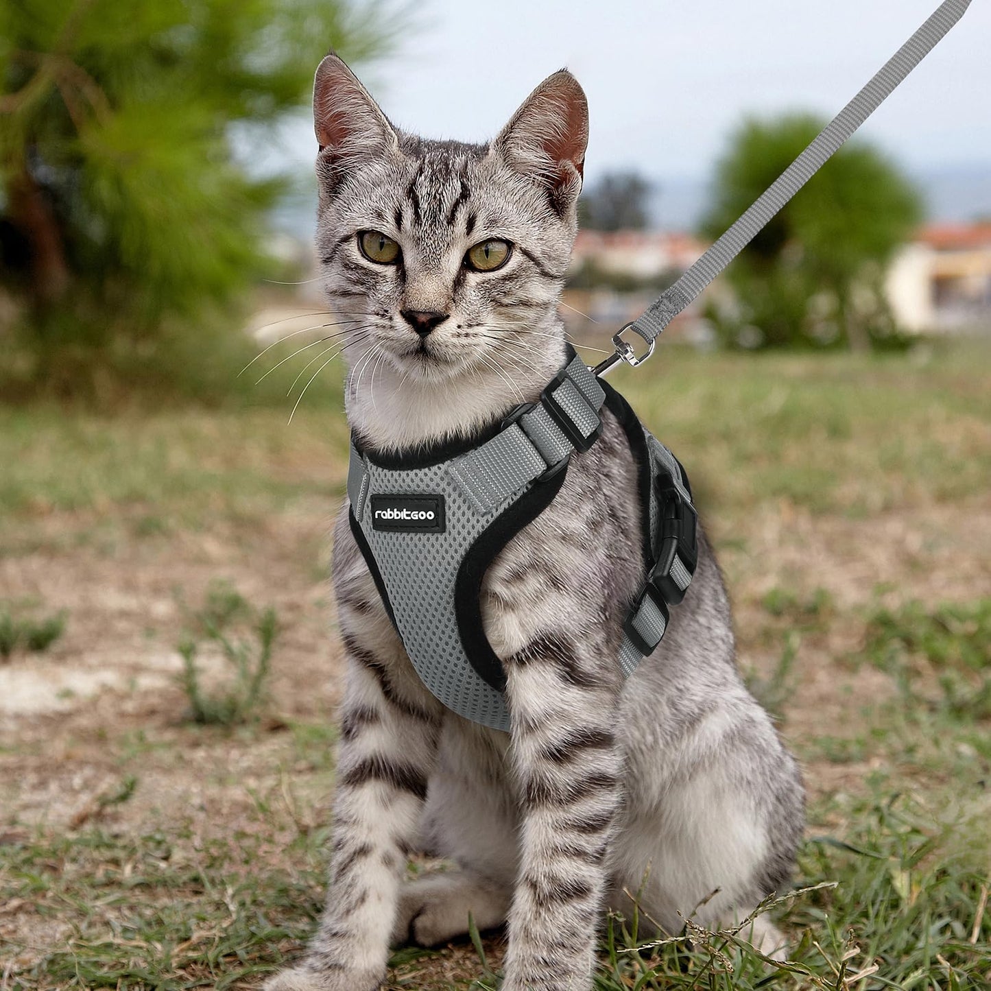 rabbitgoo Cat Harness and Leash for Walking, Escape Proof Soft Adjustable Vest Harnesses for Cats, Easy Control Breathable Reflective Strips Jacket, Navy Blue, XS